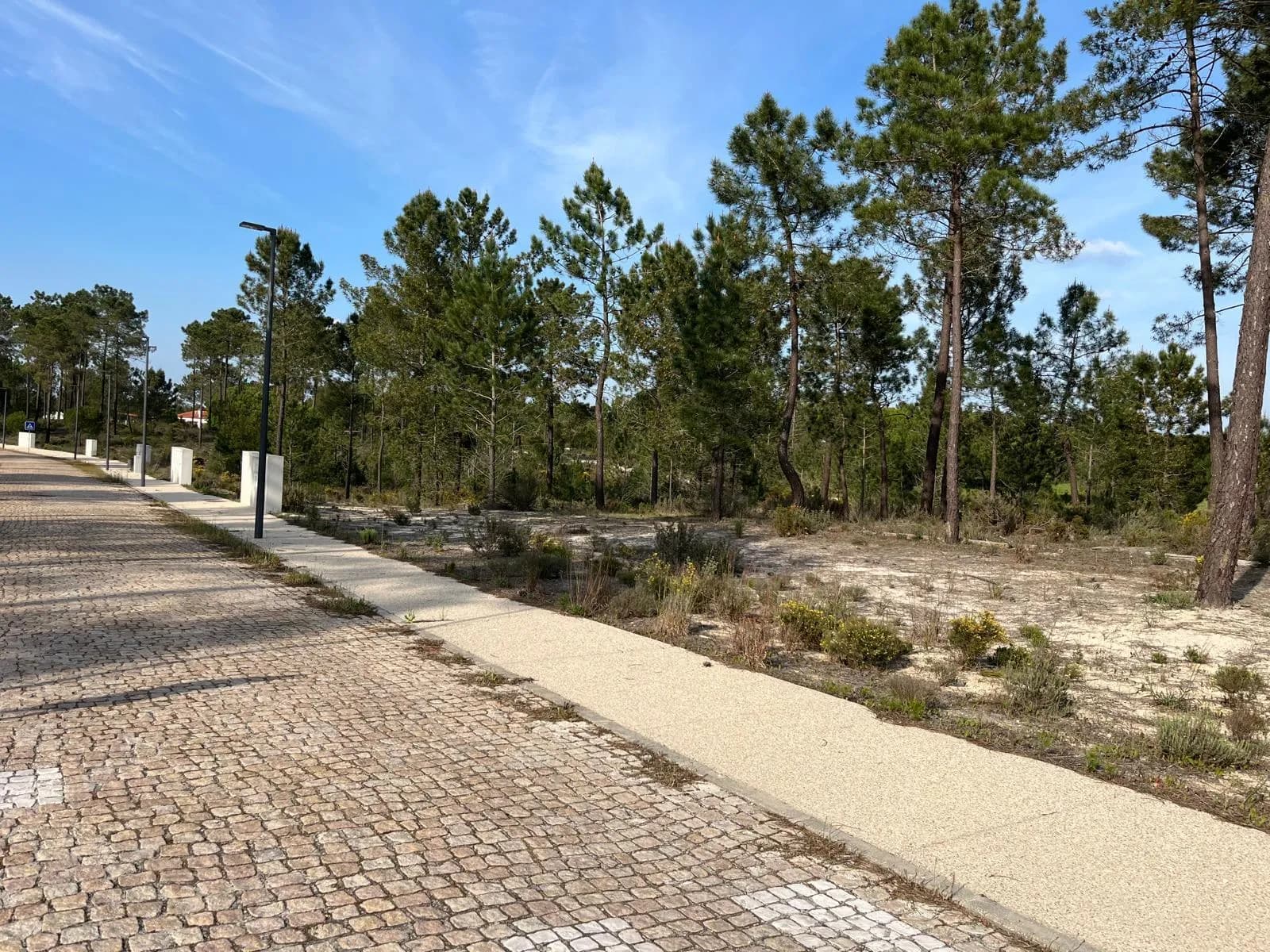 Muda Comporta gallery photo 30