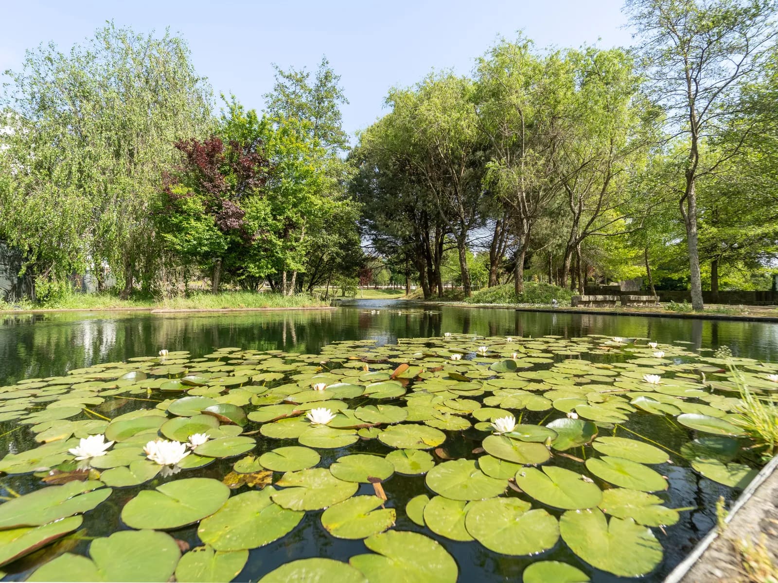 Lake | The Garden - New Apartments for Sale in Matosinhos, Porto gallery 35