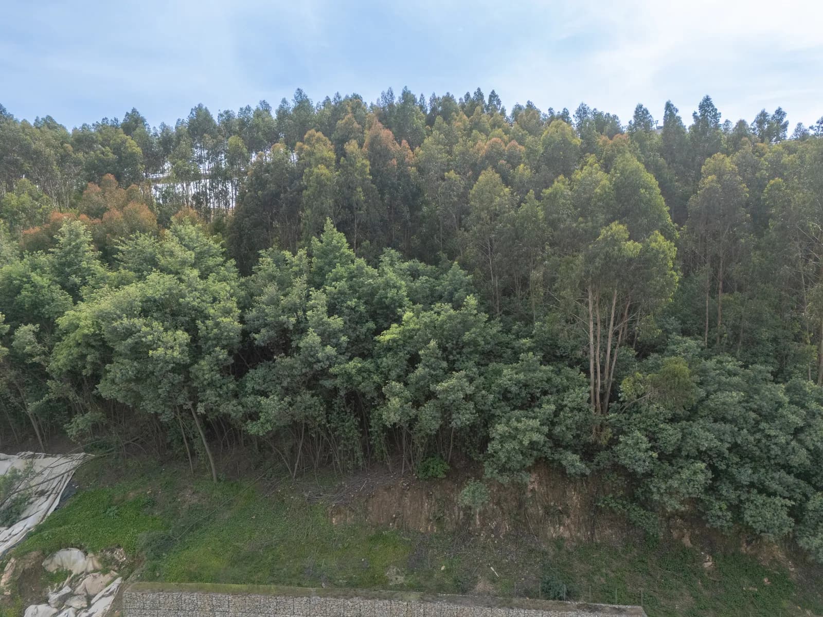 Gaia Hills Parque - New Apartments for Sale in Vila Nova de Gaia gallery 19