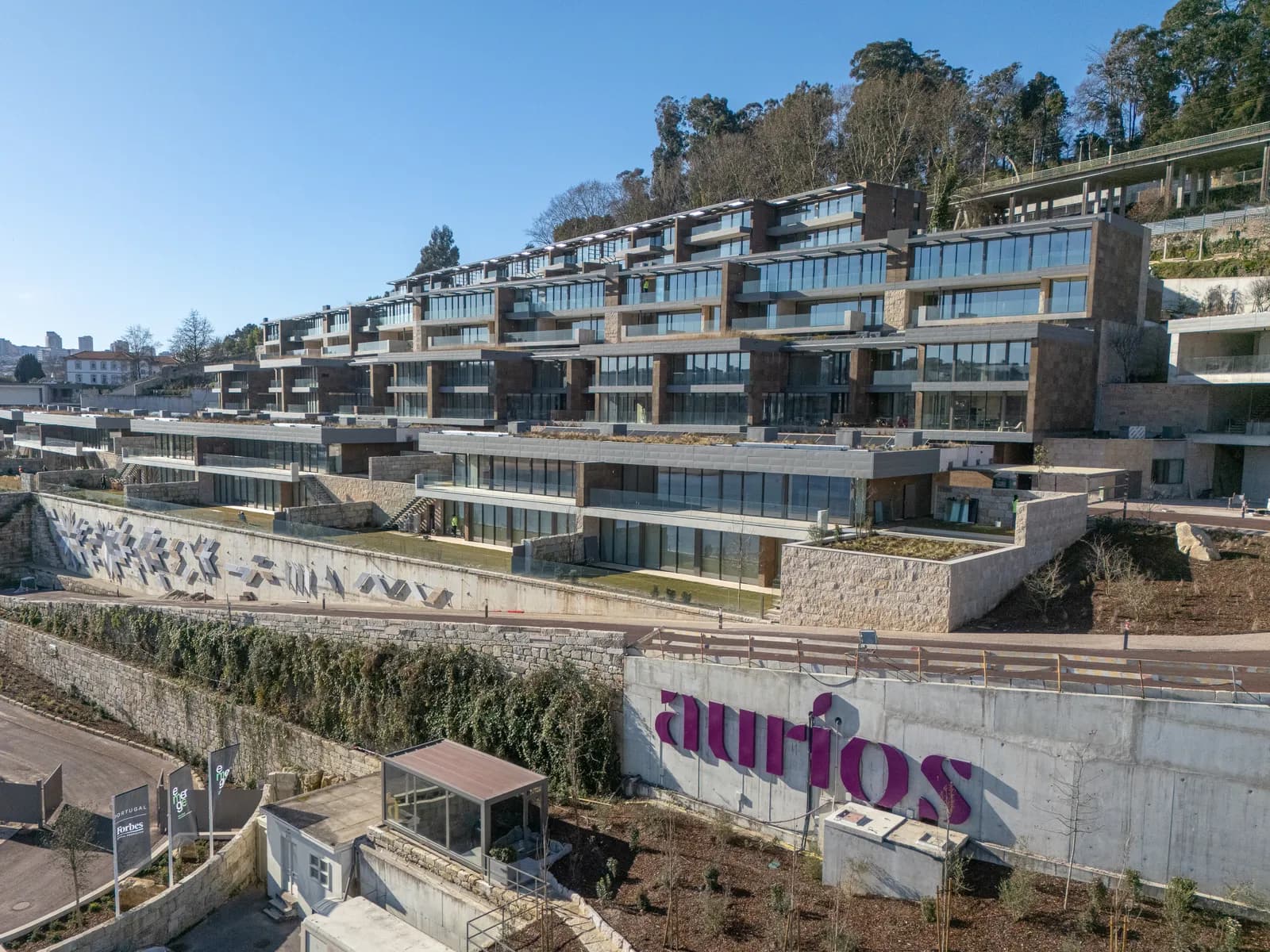 Aurios gallery photo 17