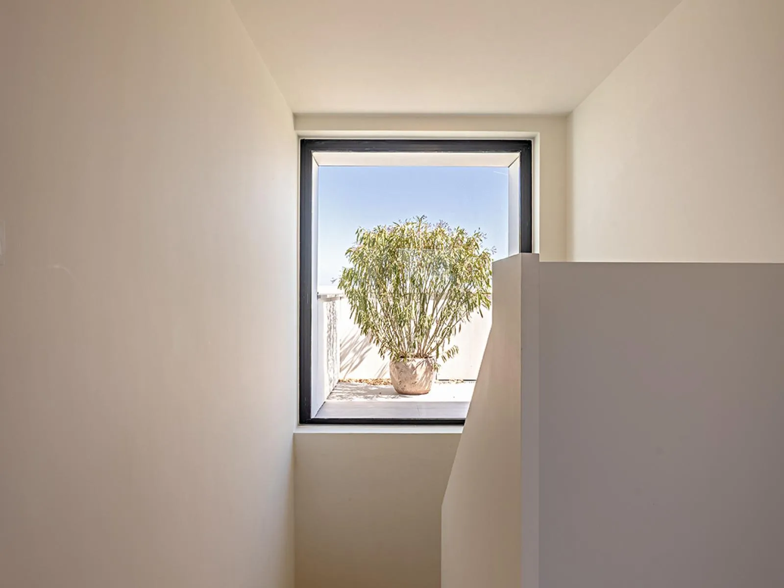 DUUO Skyline Collection gallery photo 13